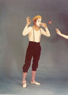 Garantía por escrito